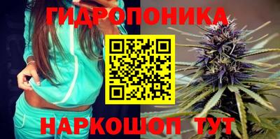 твердый Чапаевск