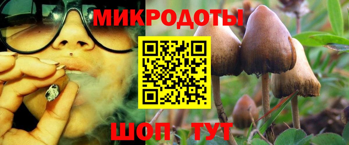 Псилоцибиновые грибы MAGIC MUSHROOMS  Вход с VPN  Псилоцибиновые грибы GOLDEN TEACHER  Ноябрьск 